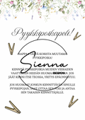 Pyykkipoikapeli (PDF)
